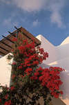 Astra Hotel Apartments 